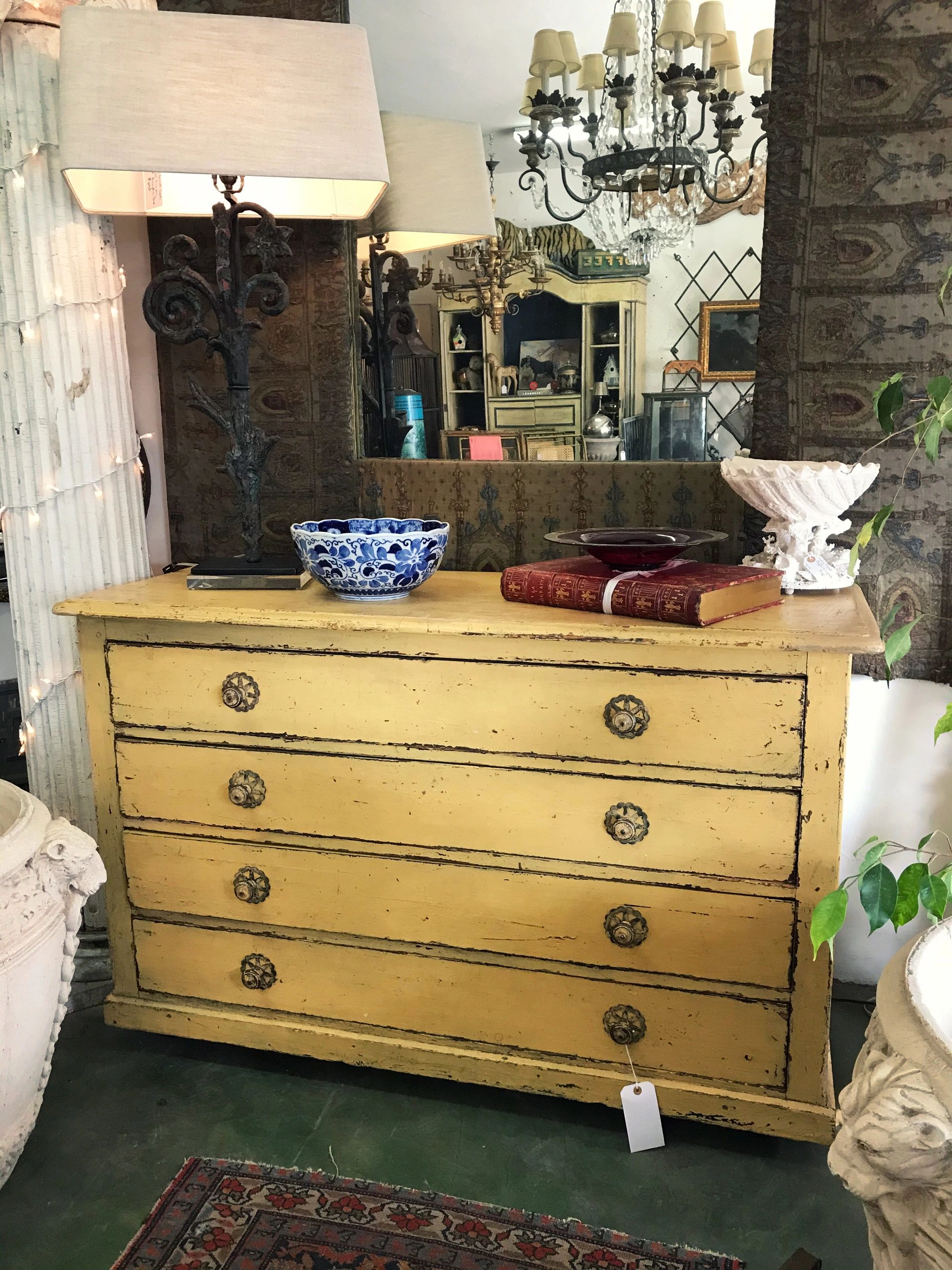 Scavenger's Paradise